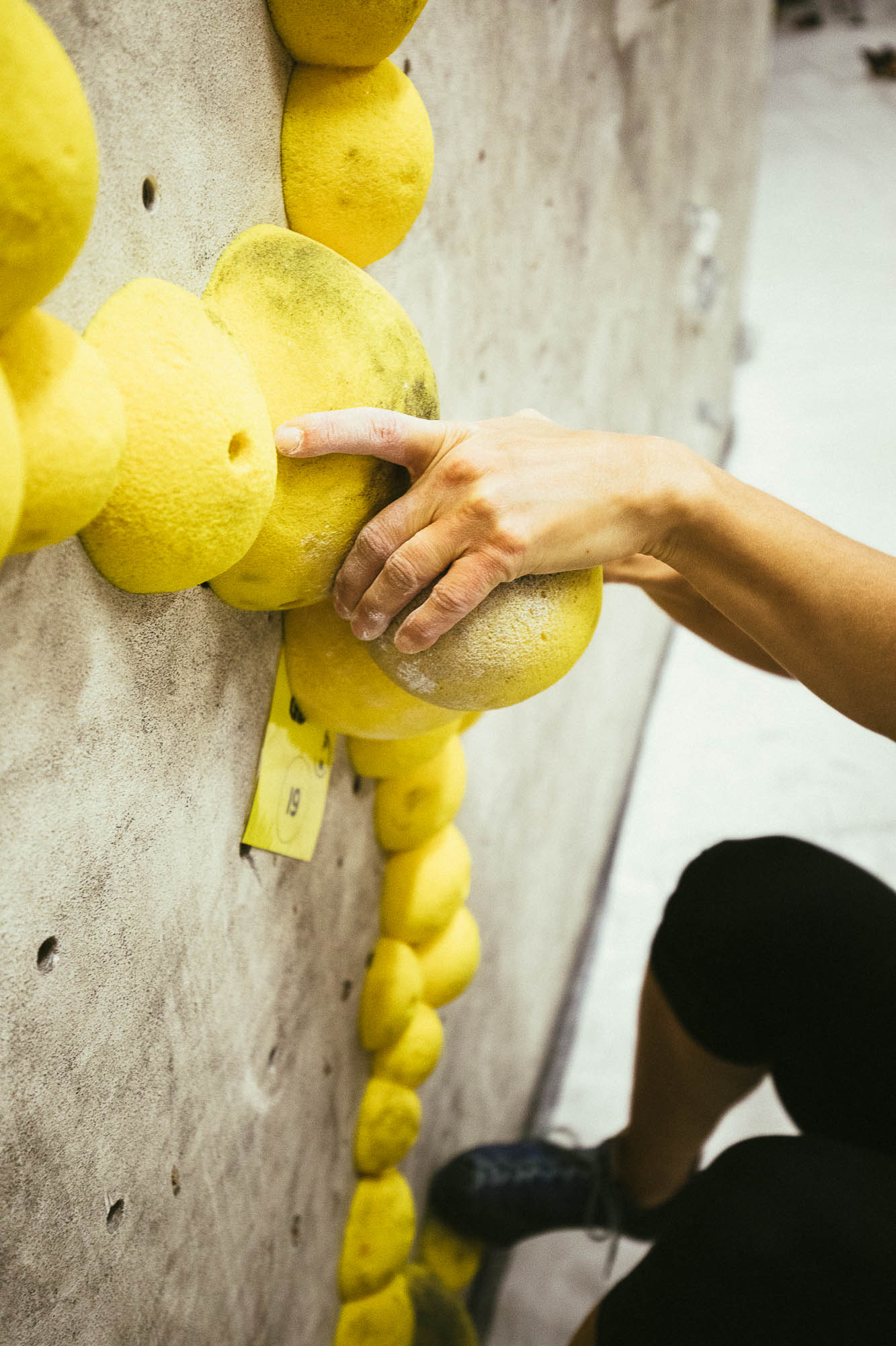 Export x3 5D4 9501 Bouldering 2020